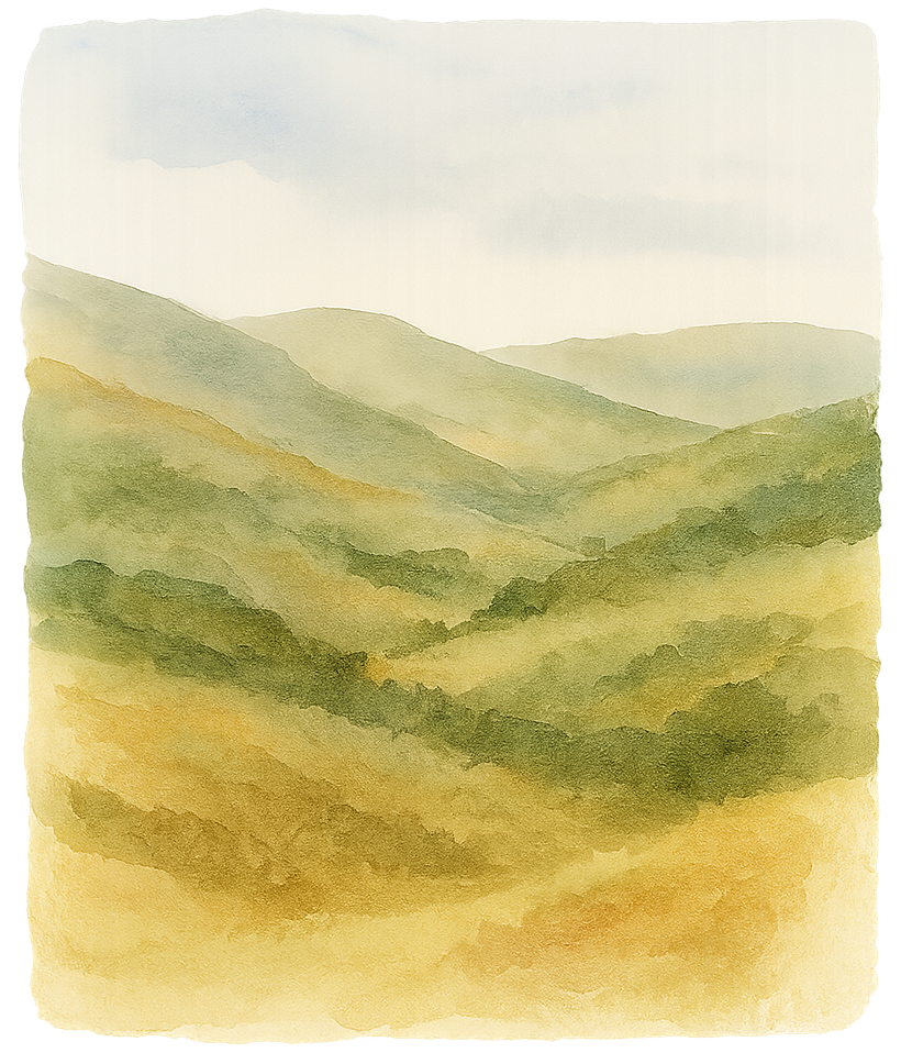 About S&S Computer Repair